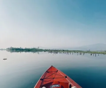 Xochimilco Kayak Tour